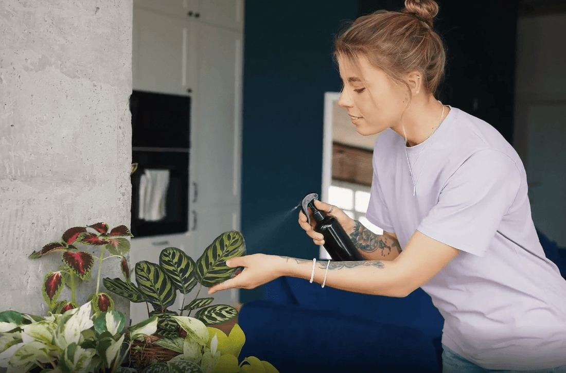 Bekjemp skadedyr naturlig – slik hjelper Planteboden deg å holde plantene friske