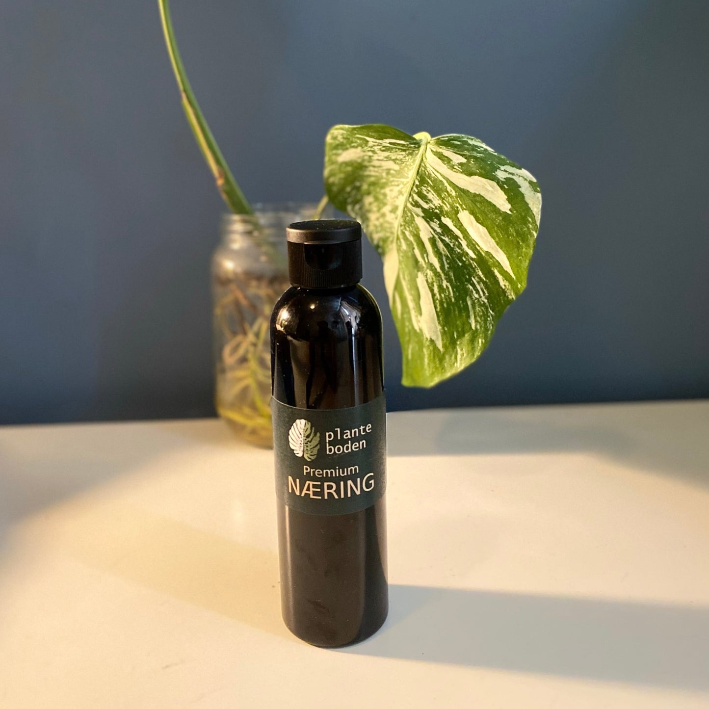 Premium Næring - Flytende