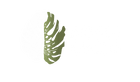 Planteboden