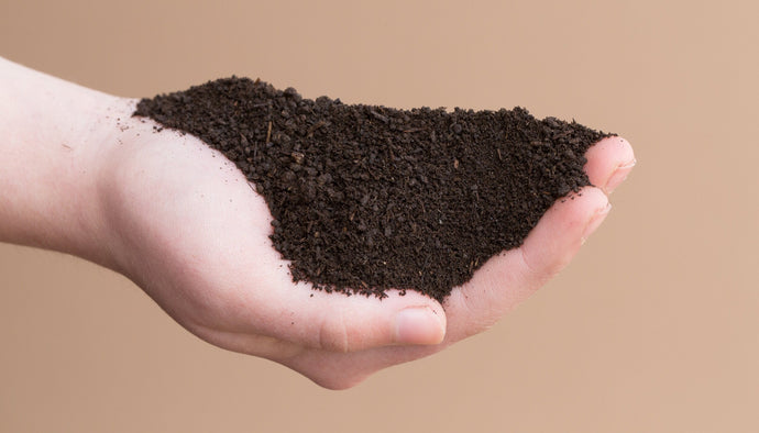 Hva er vermikompost og hvorfor er det bra for plantene?